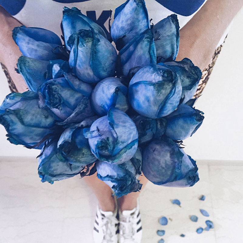 The Mystery and Meaning of Blue Roses - Flowers & Roses